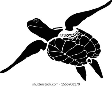 graphic sea turtle,vector illustration of sea turtle,vector of turtle design on a white background