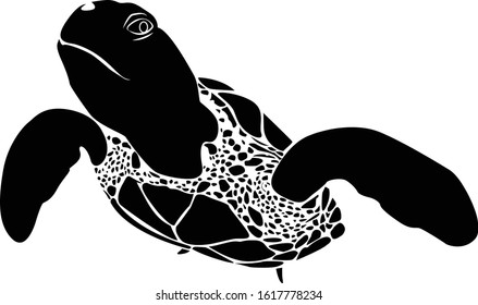 graphic sea turtle,vector illustration of sea turtle,vector of turtle design on a white background