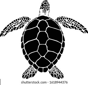 graphic sea turtle,vector illustration of sea turtle,vector of turtle design on a white background