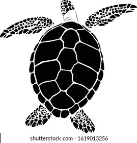 graphic sea turtle,vector illustration of sea turtle,vector of turtle design on a white background,save a turtle.