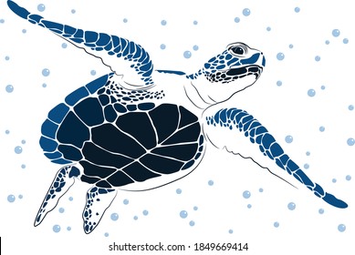 graphic sea turtle,vector illustration of sea turtle,vector of turtle design on a white background,save a turtle.