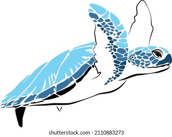 graphic sea turtle,vector illustration of sea turtle,vector of turtle design on a white background