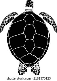 graphic sea turtle,vector illustration of sea turtle,vector of turtle design on a white background,save a turtle.