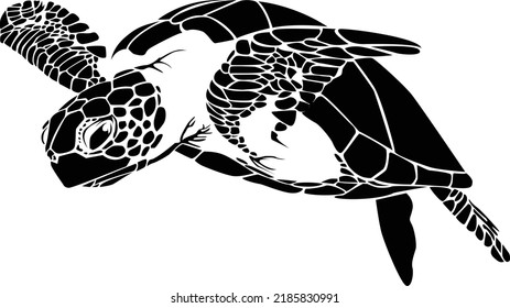 graphic sea turtle,vector illustration of sea turtle,vector of turtle design on a white background,save a turtle.