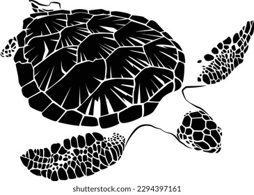  graphic sea turtle,vector illustration of sea turtle,vector of turtle design on a white background,save a turtle.