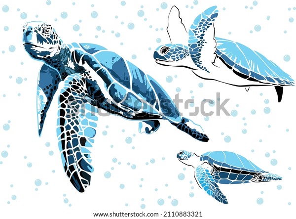 graphic sea turtle,vector\
illustration of sea turtle,vector of turtle design on a white\
background