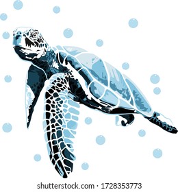 graphic sea turtle,vector of turtle design on a white background