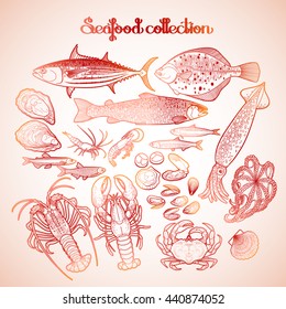 Graphic seafood collection drawn in line art style. Sea and ocean creatures isolated on white background. Coloring book page design