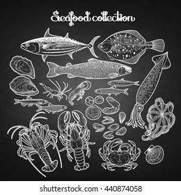 Graphic seafood collection drawn in line art style. Sea and ocean creatures isolated on chalkboard.