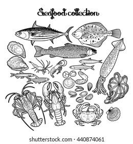 Graphic seafood collection drawn in line art style. Sea and ocean creatures isolated on white background. Coloring book page design