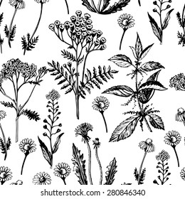 Graphic seamless with medicinal herbs.  Hand drawing. Seamless for fabric design, gift wrapping paper and printing and web projects.