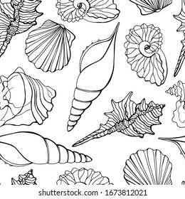 Graphic seamless pattern of shells. Line art. White background, isolate.