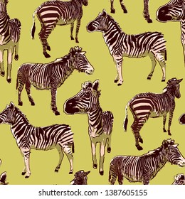 Graphic seamless pattern of standing zebras drawn in the technique of rough brush in calm colors