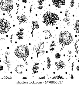 Graphic seamless with protea and succulents. Vector illustration. Manual graphics. Seamless pattern for decorating various surfaces.