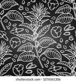 Graphic sesame flowers. Vector natural seamless pattern