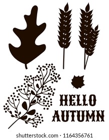Graphic set of autumn decor, vector. Decorative black and white plants