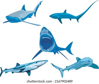 Graphic set of blue sharks isolated on white background. Color vector sharks for tattoos and prints. Sea Animals Vector Set
