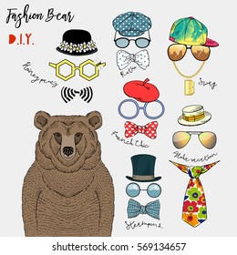 graphic set of brown bear and fashion accessories, design it yourself