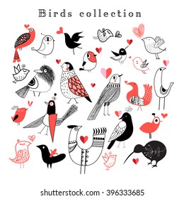 Graphic set of different birds on white background