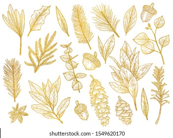 Graphic Set Of Gold Christmas Plants. Vector Set Of Gold Plants - Branches Of Spruce, Mistletoe, Cones, Acorns And Others. Botanical Illustration.