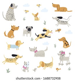 Graphic set of hand drawn illustration with cute dogs. Vector isolated