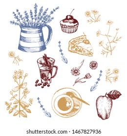 Graphic set with herbal tea and herbs. Fragrant herbs, tea, and delicious cake. Hygge style. Vector illustration. Manual graphics.