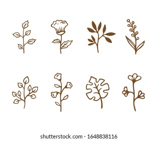 Graphic set of herbs, branches and flowers. Hand drawn elements on white background. Vector illustration.