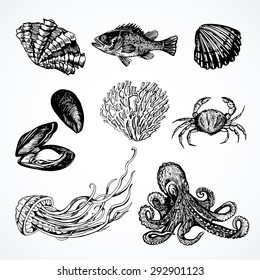 Graphic set with marine life.  Vector illustration. Illustration for greeting cards, invitations, and other printing projects.