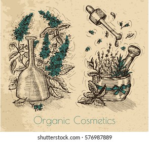 Graphic set with patchouli, vintage bottles and herbal cosmetic concept on textured background. Hand drawn engraved illustration. Natural cosmetics ingredients, vintage design