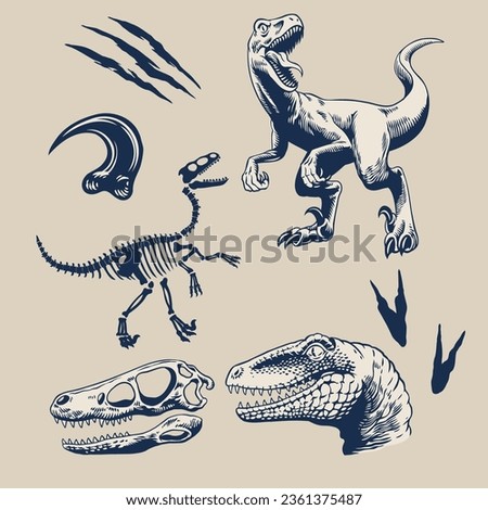 Graphic Set of Raptors Isolated Vector Illustration 商業照片 © 