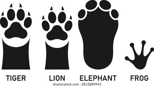 Graphic set showcasing distinct animal footprints: feline pachyderm and amphibian. Ideal for wildlife conservation messaging or educational materials.
