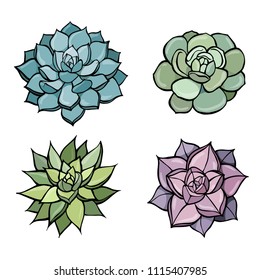 Graphic set with succulents isolated on white background. Hand drawn vector illustration, sketch. Elements for design.