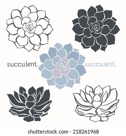 Graphic set with succulents  isolated on white background. Hand drawn vector illustration, sketch. Elements for design.