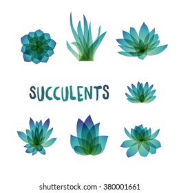 Graphic Set of succulents isolated on white background for design of cards, invitations. Vector illustration