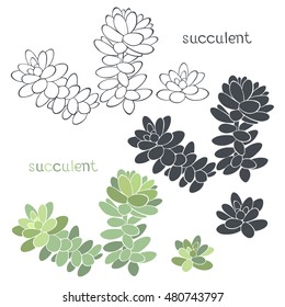 Graphic set with succulents  isolated on white background. Hand drawn vector illustration, sketch. Elements for design.