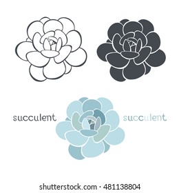 Graphic set with succulents  isolated on white background. Hand drawn vector illustration, sketch. Elements for design.