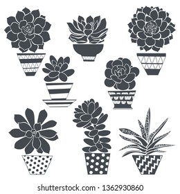 Graphic set with succulents in pots,  isolated on white background. Hand drawn vector illustration, sketch. Elements for design. Silhouettes.