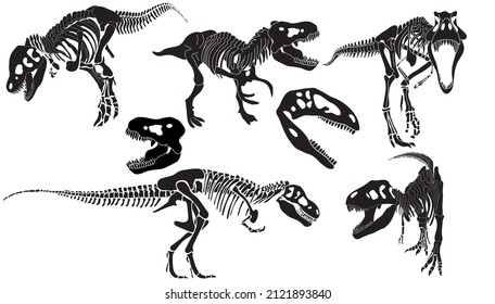 Graphic set of Theranosaurus skeletons isolated on white and white backgrounds. vector drawing