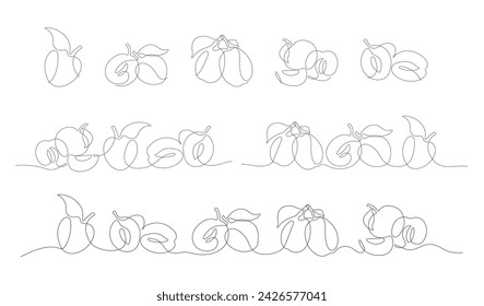 Graphic set in vector of linear stylized plums in one line