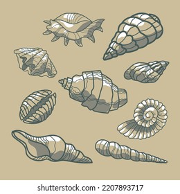 Conjunto gráfico de vectores marinos diferentes conchas, conchas, moluscos, vieira. Dibujado por una línea sobre un fondo de arena. Una gran colección de conchas de distintas formas