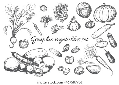 Graphic set of vegetables. Cauliflower, eggplant, beet, pepper, broccoli, onion, cucumber, zucchini, pumpkin elements.