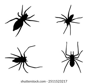 Conjunto gráfico de diseño artístico de la silueta de la araña del saco amarillo