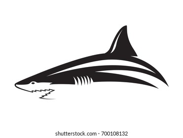 graphic shark on white background, vector