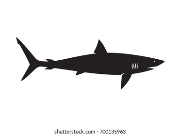 graphic shark on white background, vector