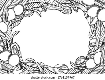 Graphic shea nuts and leaves. Vector botanical design