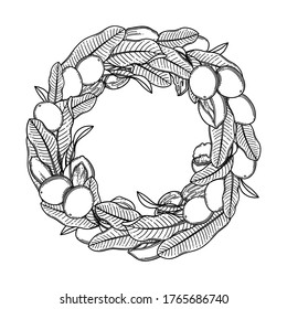 Graphic shea wreath. Vector botanical design isolated on white background