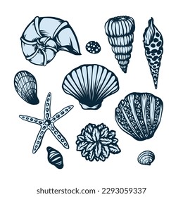 Conchas gráficas aisladas en el fondo blanco. Vector