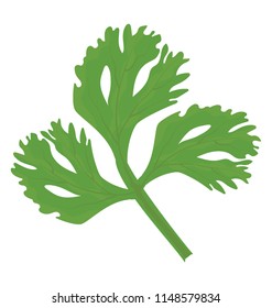 
Graphic showing a leafy vegetable branch with three leaves i e varian in shape with hole inside, a concept for coriander icon 
