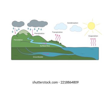 The graphic shows the water cycle in nature