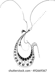 Graphic shrimp